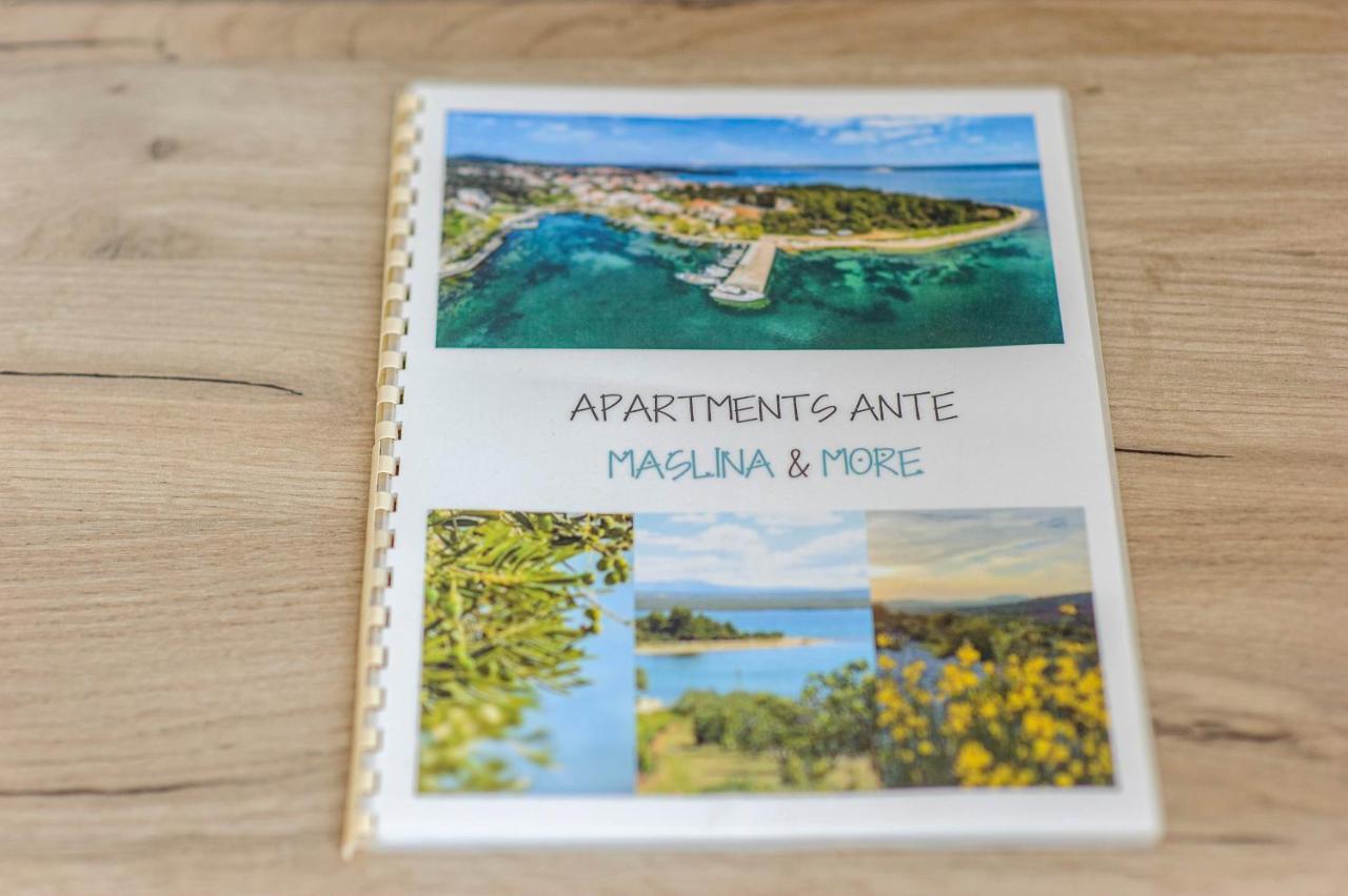 Apartman Maslina シベニク エクステリア 写真